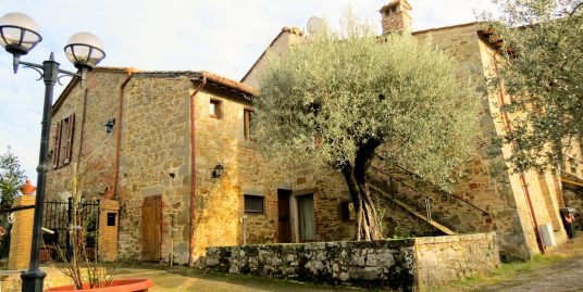 Medieval town house