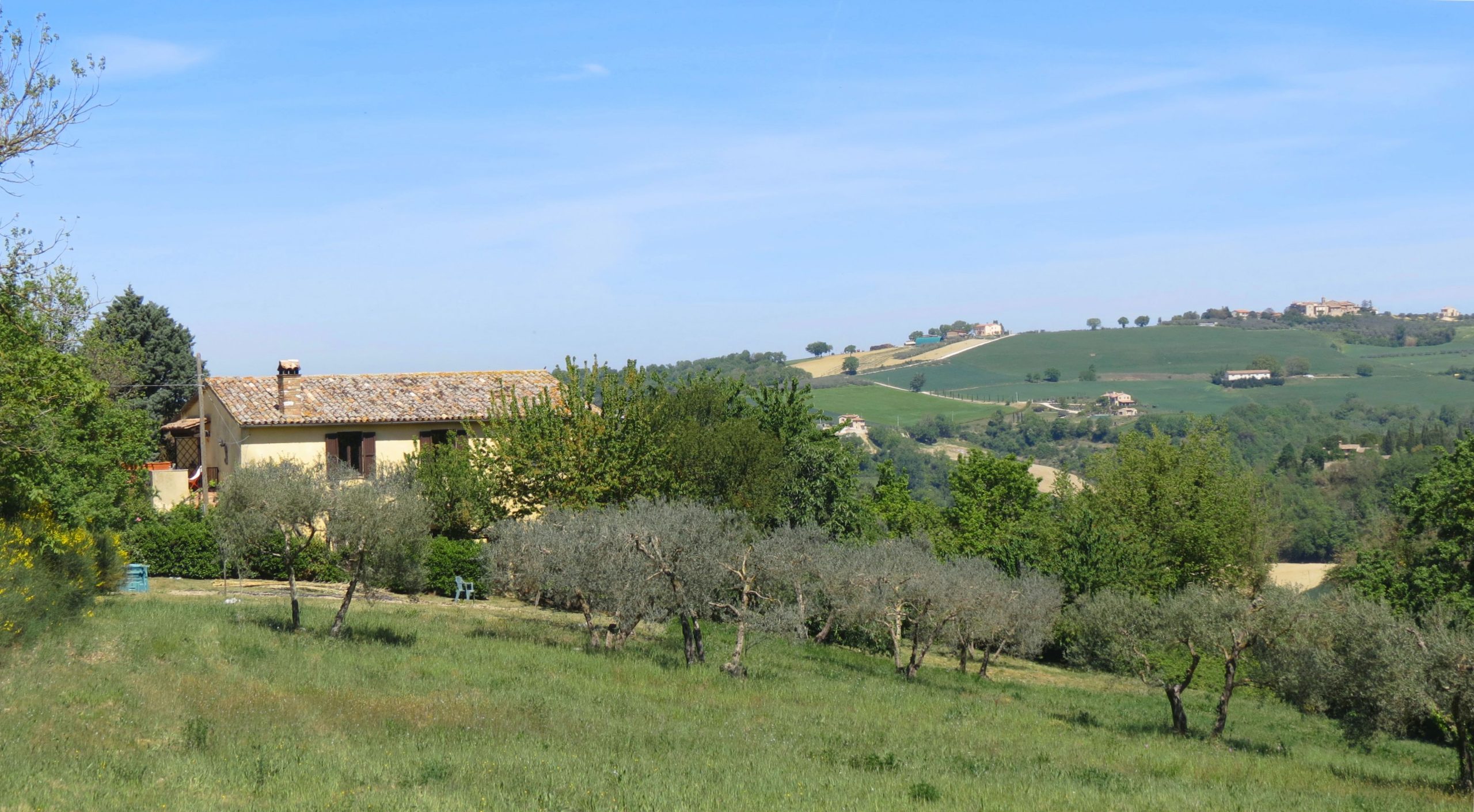 Casale immerso nel verde